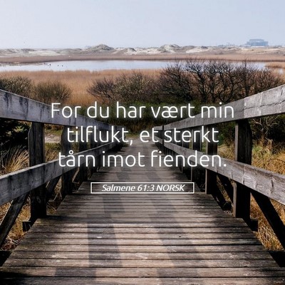 Picture 05 - Salmene 61:3 NORSK - For du har vært min tilflukt, et sterkt tårn - Bible Verse Picture