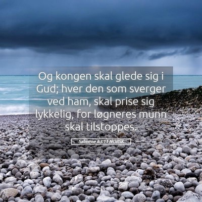 Picture 05 - Salmene 63:11 NORSK - Og kongen skal glede sig i Gud; hver den som - Bible Verse Picture