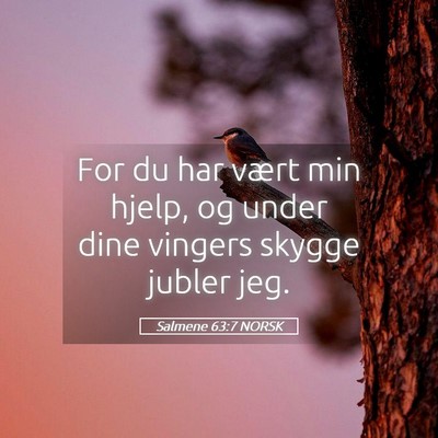 Picture 05 - Salmene 63:7 NORSK - For du har vært min hjelp, og under dine vingers - Bible Verse Picture
