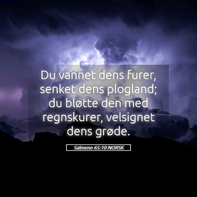Picture 05 - Salmene 65:10 NORSK - Du vannet dens furer, senket dens plogland; du - Bible Verse Picture