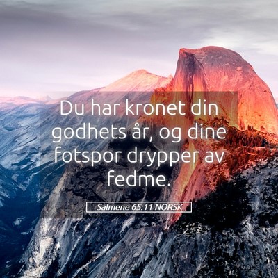 Picture 05 - Salmene 65:11 NORSK - Du har kronet din godhets år, og dine fotspor - Bible Verse Picture