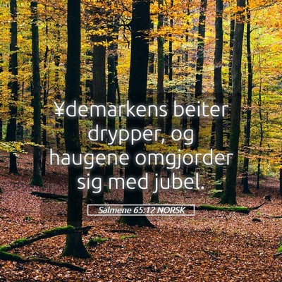 Picture 05 - Salmene 65:12 NORSK - ¥demarkens beiter drypper, og haugene omgjorder - Bible Verse Picture