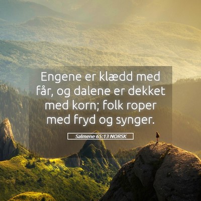 Picture 05 - Salmene 65:13 NORSK - Engene er klædd med får, og dalene er dekket - Bible Verse Picture