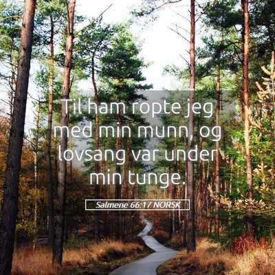 Picture 05 - Salmene 66:17 NORSK - Til ham ropte jeg med min munn, og lovsang var - Bible Verse Picture