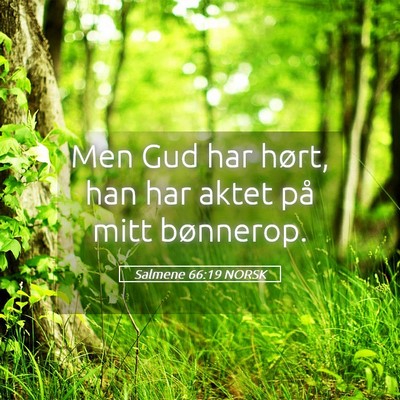 Picture 05 - Salmene 66:19 NORSK - Men Gud har hørt, han har aktet på mitt - Bible Verse Picture