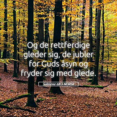 Picture 05 - Salmene 68:3 NORSK - Og de rettferdige gleder sig, de jubler for Guds - Bible Verse Picture