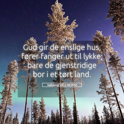 Picture 05 - Salmene 68:6 NORSK - Gud gir de enslige hus, fører fanger ut til - Bible Verse Picture