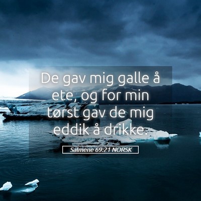 Picture 05 - Salmene 69:21 NORSK - De gav mig galle å ete, og for min tørst gav de - Bible Verse Picture