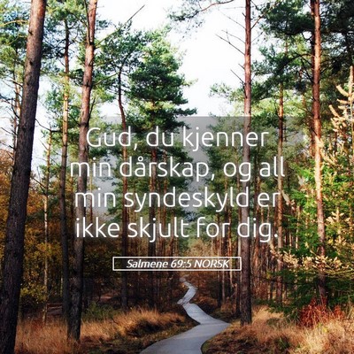 Picture 05 - Salmene 69:5 NORSK - Gud, du kjenner min dårskap, og all min - Bible Verse Picture