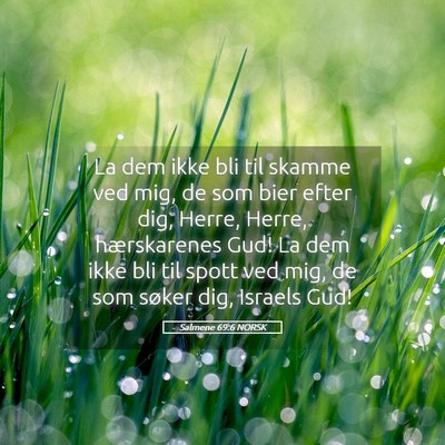 Picture 05 - Salmene 69:6 NORSK - La dem ikke bli til skamme ved mig, de som bier - Bible Verse Picture