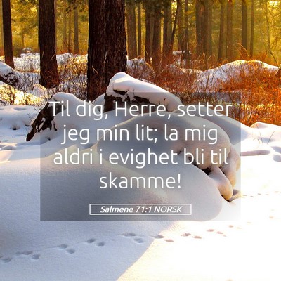 Picture 05 - Salmene 71:1 NORSK - Til dig, Herre, setter jeg min lit; la mig aldri - Bible Verse Picture