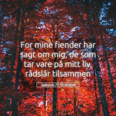 Picture 05 - Salmene 71:10 NORSK - For mine fiender har sagt om mig, de som tar vare - Bible Verse Picture