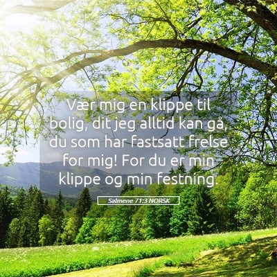 Picture 05 - Salmene 71:3 NORSK - Vær mig en klippe til bolig, dit jeg alltid kan - Bible Verse Picture