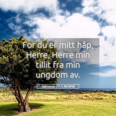 Picture 05 - Salmene 71:5 NORSK - For du er mitt håp, Herre, Herre min tillit fra - Bible Verse Picture
