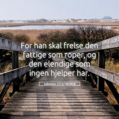 Picture 05 - Salmene 72:12 NORSK - For han skal frelse den fattige som roper, og den - Bible Verse Picture
