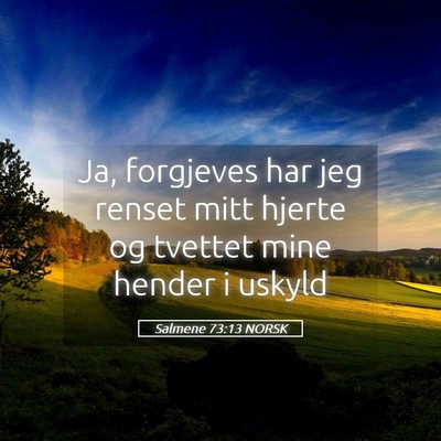 Picture 05 - Salmene 73:13 NORSK - Ja, forgjeves har jeg renset mitt hjerte og - Bible Verse Picture