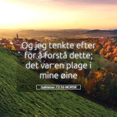 Picture 05 - Salmene 73:16 NORSK - Og jeg tenkte efter for å forstå dette; det var - Bible Verse Picture