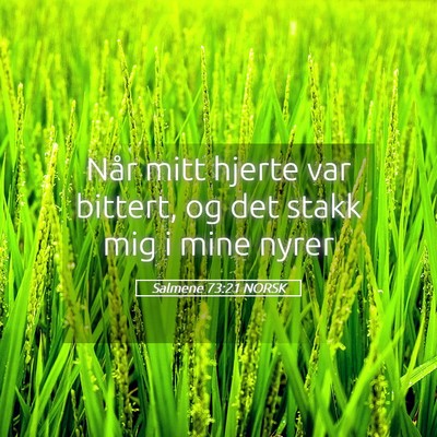 Picture 05 - Salmene 73:21 NORSK - Når mitt hjerte var bittert, og det stakk mig i - Bible Verse Picture