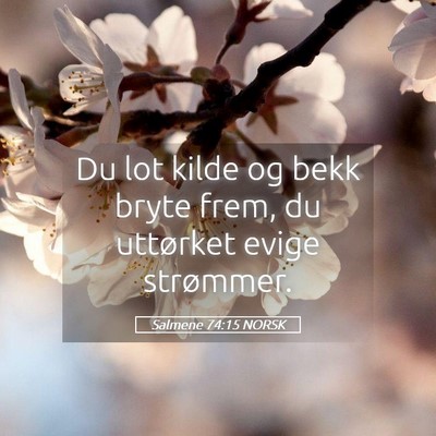 Picture 05 - Salmene 74:15 NORSK - Du lot kilde og bekk bryte frem, du uttørket - Bible Verse Picture