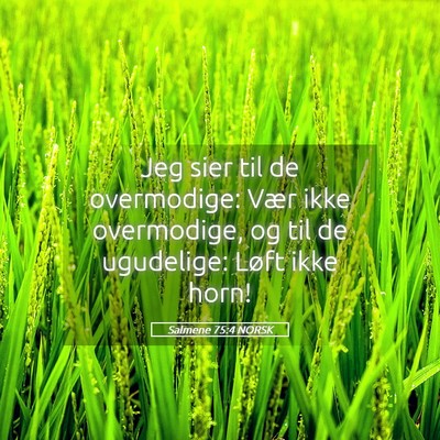 Picture 05 - Salmene 75:4 NORSK - Jeg sier til de overmodige: Vær ikke overmodige, - Bible Verse Picture