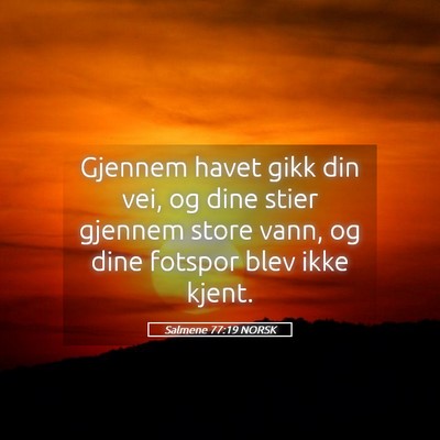 Picture 05 - Salmene 77:19 NORSK - Gjennem havet gikk din vei, og dine stier gjennem - Bible Verse Picture
