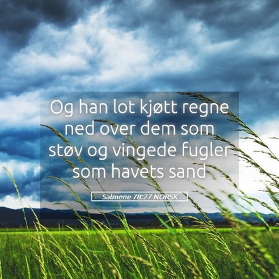 Picture 05 - Salmene 78:27 NORSK - Og han lot kjøtt regne ned over dem som støv og - Bible Verse Picture