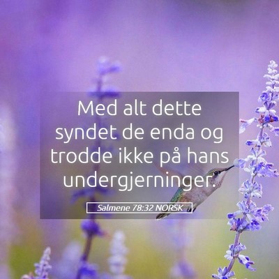 Picture 05 - Salmene 78:32 NORSK - Med alt dette syndet de enda og trodde ikke på - Bible Verse Picture