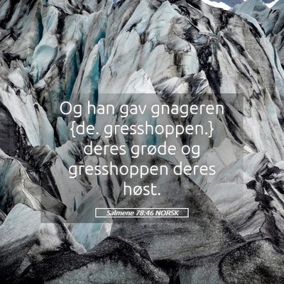 Picture 05 - Salmene 78:46 NORSK - Og han gav gnageren {de. gresshoppen.} deres - Bible Verse Picture