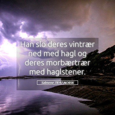 Picture 05 - Salmene 78:47 NORSK - Han slo deres vintrær ned med hagl og deres - Bible Verse Picture