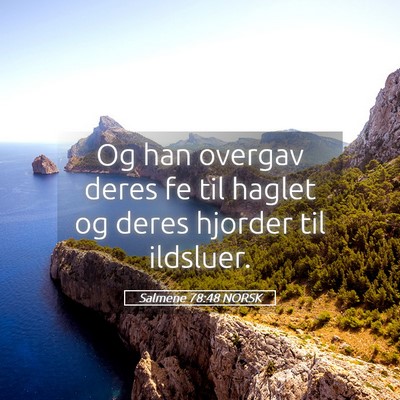 Picture 05 - Salmene 78:48 NORSK - Og han overgav deres fe til haglet og deres - Bible Verse Picture