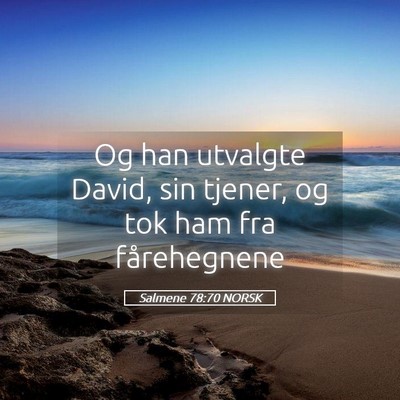 Picture 05 - Salmene 78:70 NORSK - Og han utvalgte David, sin tjener, og tok ham fra - Bible Verse Picture
