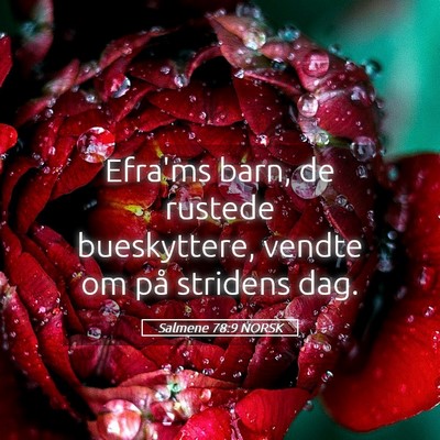 Picture 05 - Salmene 78:9 NORSK - Efra'ms barn, de rustede bueskyttere, vendte om - Bible Verse Picture