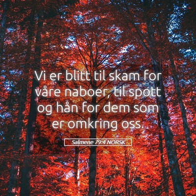 Picture 05 - Salmene 79:4 NORSK - Vi er blitt til skam for våre naboer, til spott - Bible Verse Picture