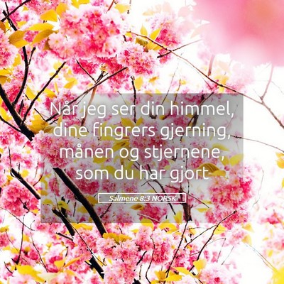 Picture 05 - Salmene 8:3 NORSK - Når jeg ser din himmel, dine fingrers gjerning, - Bible Verse Picture