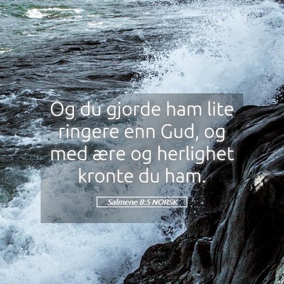 Picture 05 - Salmene 8:5 NORSK - Og du gjorde ham lite ringere enn Gud, og med - Bible Verse Picture