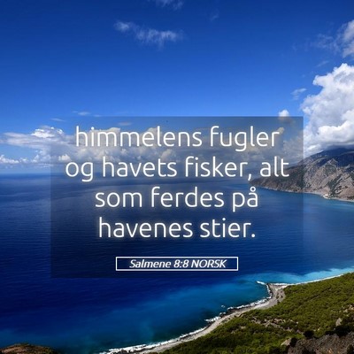 Picture 05 - Salmene 8:8 NORSK - himmelens fugler og havets fisker, alt som ferdes - Bible Verse Picture