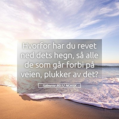 Picture 05 - Salmene 80:12 NORSK - Hvorfor har du revet ned dets hegn, så alle de - Bible Verse Picture