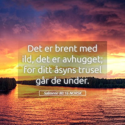 Picture 05 - Salmene 80:16 NORSK - Det er brent med ild, det er avhugget; for ditt - Bible Verse Picture