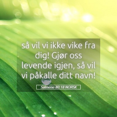 Picture 05 - Salmene 80:18 NORSK - så vil vi ikke vike fra dig! Gjør oss levende - Bible Verse Picture