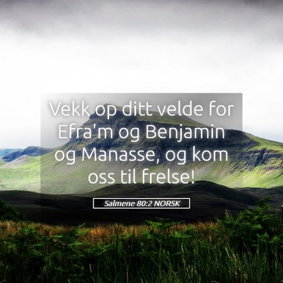 Picture 05 - Salmene 80:2 NORSK - Vekk op ditt velde for Efra'm og Benjamin og - Bible Verse Picture