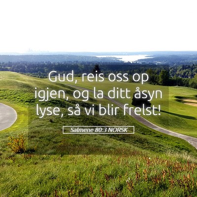 Picture 05 - Salmene 80:3 NORSK - Gud, reis oss op igjen, og la ditt åsyn lyse, - Bible Verse Picture