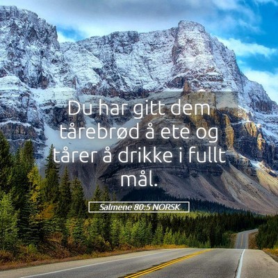 Picture 05 - Salmene 80:5 NORSK - Du har gitt dem tårebrød å ete og tårer å - Bible Verse Picture