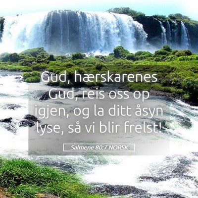 Picture 05 - Salmene 80:7 NORSK - Gud, hærskarenes Gud, reis oss op igjen, og la - Bible Verse Picture