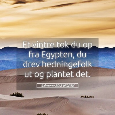 Picture 05 - Salmene 80:8 NORSK - Et vintre tok du op fra Egypten, du drev - Bible Verse Picture
