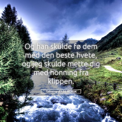 Picture 05 - Salmene 81:16 NORSK - Og han skulde fø dem med den beste hvete, og jeg - Bible Verse Picture