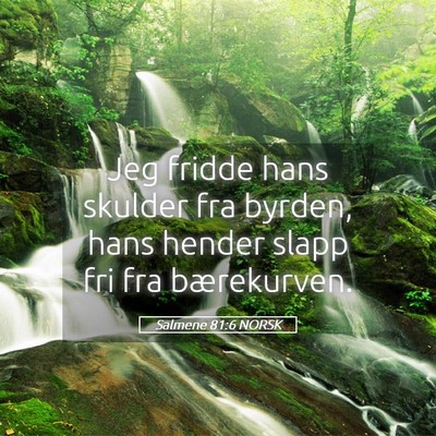 Picture 05 - Salmene 81:6 NORSK - Jeg fridde hans skulder fra byrden, hans hender - Bible Verse Picture
