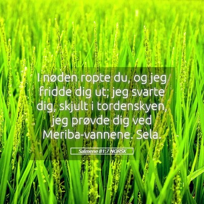 Picture 05 - Salmene 81:7 NORSK - I nøden ropte du, og jeg fridde dig ut; jeg - Bible Verse Picture