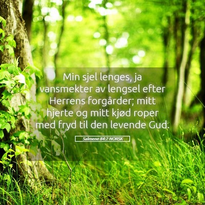 Picture 05 - Salmene 84:2 NORSK - Min sjel lenges, ja vansmekter av lengsel efter - Bible Verse Picture