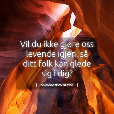 Picture 05 - Salmene 85:6 NORSK - Vil du ikke gjøre oss levende igjen, så ditt - Bible Verse Picture