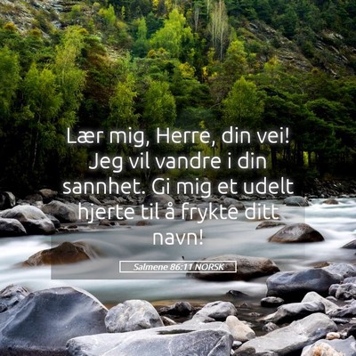 Picture 05 - Salmene 86:11 NORSK - Lær mig, Herre, din vei! Jeg vil vandre i din - Bible Verse Picture